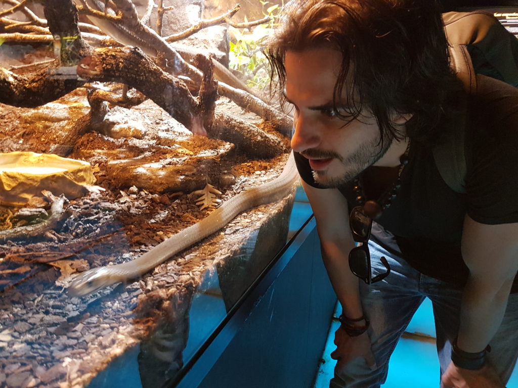 un argentino en españa joaquin castellano que hacer en faunia